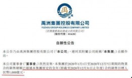 禹洲集团最新爆料新闻事件,揭秘重大商业事件背后真相