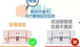 新闻现场爆料电话号码,紧急爆料！揭秘新闻现场神秘电话号码背后的真相
