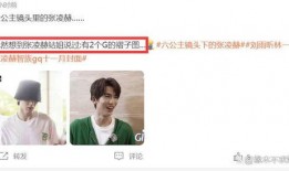 白鹿张凌赫圈内人爆料