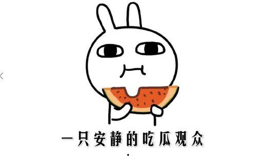 吃瓜表情是什么意思啊内涵句子,网络热词背后的幽默与内涵